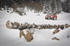 miniatura Jeep Renegade „Samochodem Roku na Polskie Drogi”  4